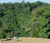 planejamento agroflorestal.jpg